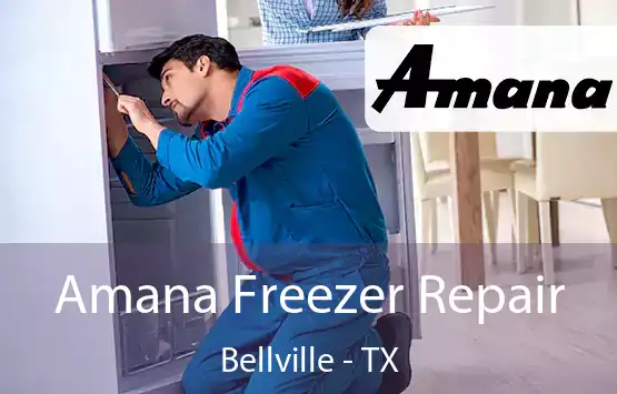  Amana Freezer Repair Bellville - TX