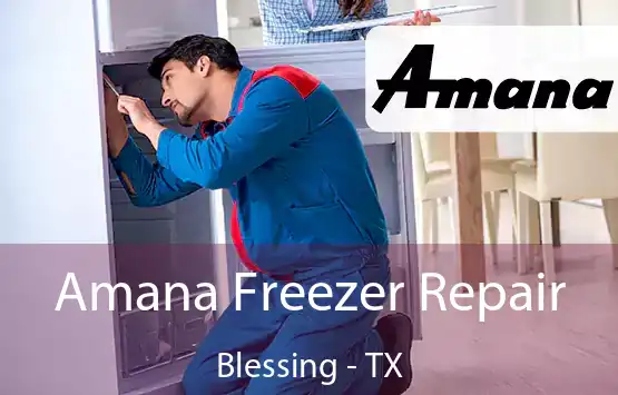  Amana Freezer Repair Blessing - TX