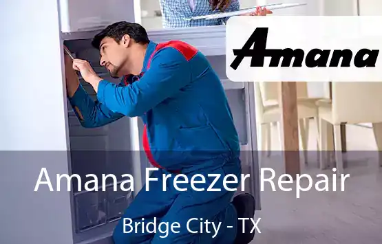  Amana Freezer Repair Bridge City - TX