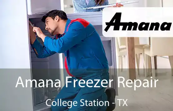  Amana Freezer Repair College Station - TX