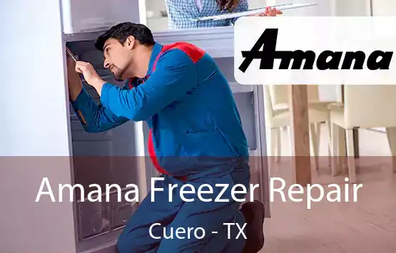  Amana Freezer Repair Cuero - TX