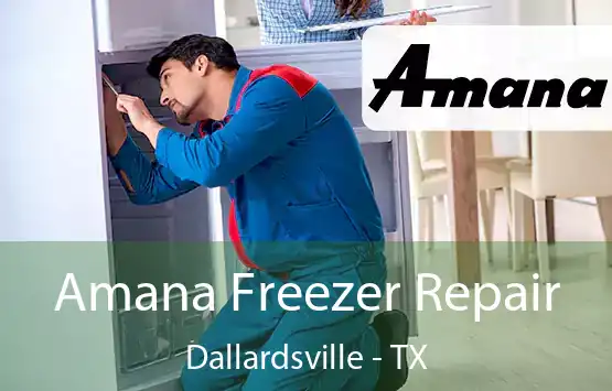  Amana Freezer Repair Dallardsville - TX