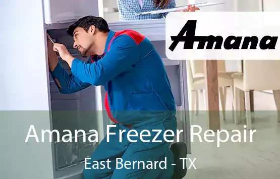  Amana Freezer Repair East Bernard - TX