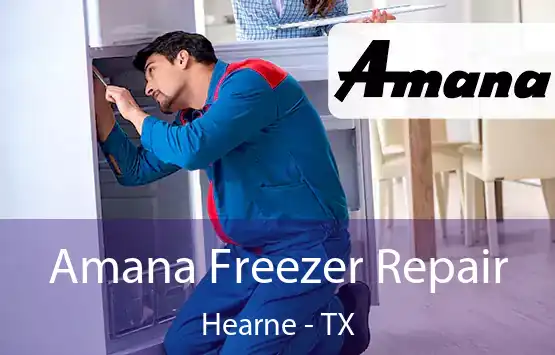  Amana Freezer Repair Hearne - TX