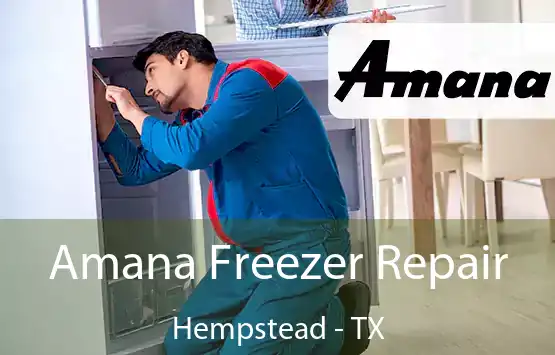  Amana Freezer Repair Hempstead - TX