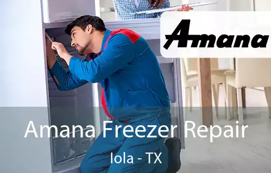  Amana Freezer Repair Iola - TX