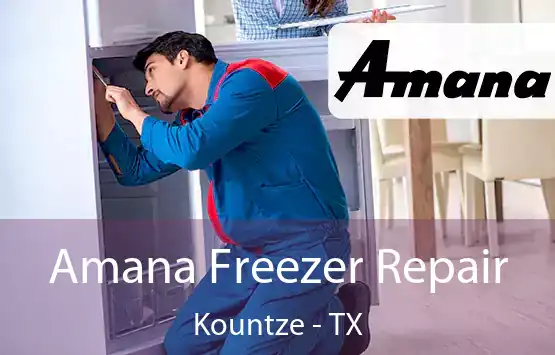  Amana Freezer Repair Kountze - TX