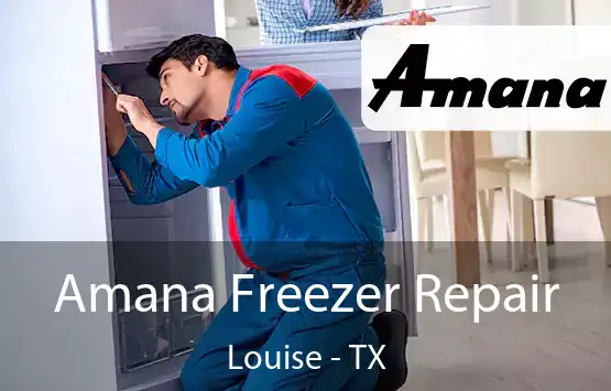 Amana Freezer Repair Louise - TX