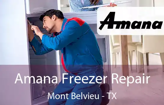  Amana Freezer Repair Mont Belvieu - TX