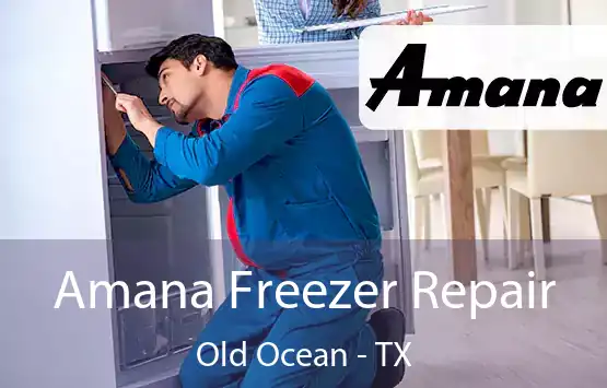  Amana Freezer Repair Old Ocean - TX