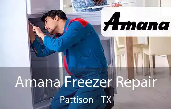  Amana Freezer Repair Pattison - TX