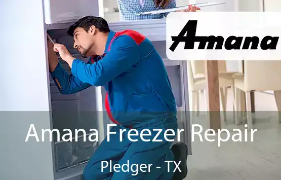  Amana Freezer Repair Pledger - TX