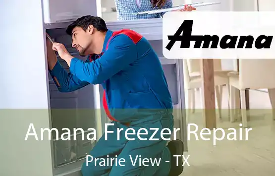  Amana Freezer Repair Prairie View - TX