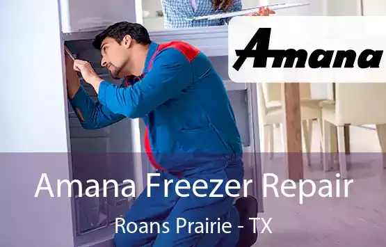  Amana Freezer Repair Roans Prairie - TX