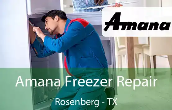  Amana Freezer Repair Rosenberg - TX