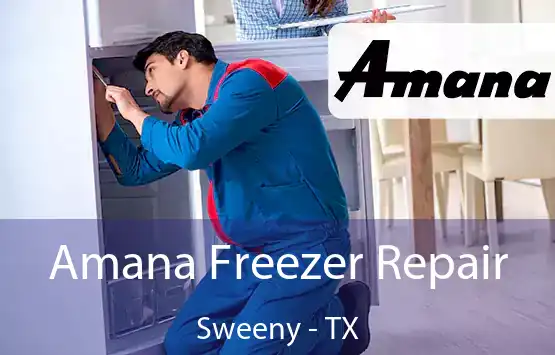  Amana Freezer Repair Sweeny - TX