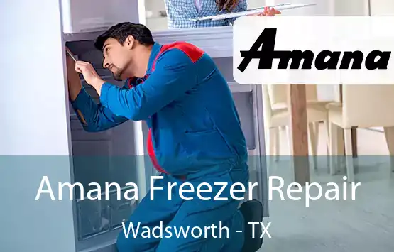  Amana Freezer Repair Wadsworth - TX