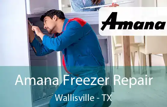  Amana Freezer Repair Wallisville - TX