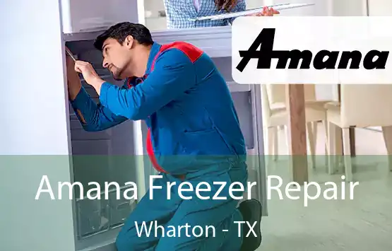  Amana Freezer Repair Wharton - TX