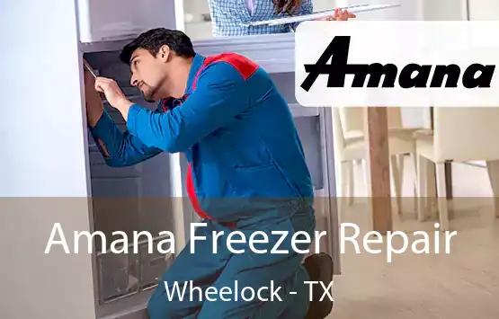  Amana Freezer Repair Wheelock - TX