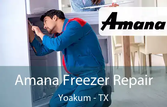  Amana Freezer Repair Yoakum - TX