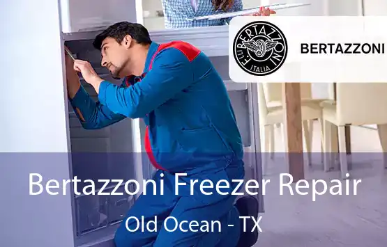  Bertazzoni Freezer Repair Old Ocean - TX