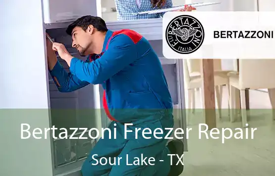  Bertazzoni Freezer Repair Sour Lake - TX