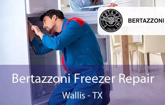  Bertazzoni Freezer Repair Wallis - TX