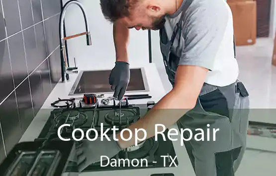  Cooktop Repair Damon - TX