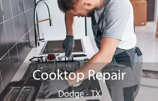  Cooktop Repair Dodge - TX