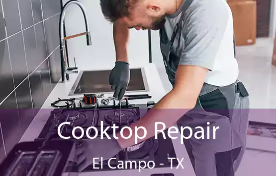  Cooktop Repair El Campo - TX