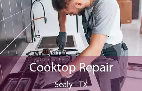  Cooktop Repair Sealy - TX