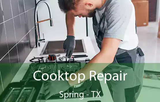  Cooktop Repair Spring - TX