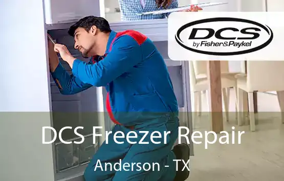  DCS Freezer Repair Anderson - TX