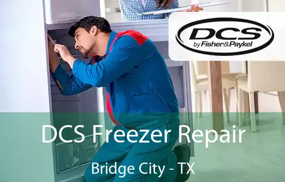  DCS Freezer Repair Bridge City - TX