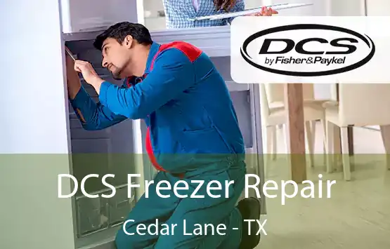  DCS Freezer Repair Cedar Lane - TX