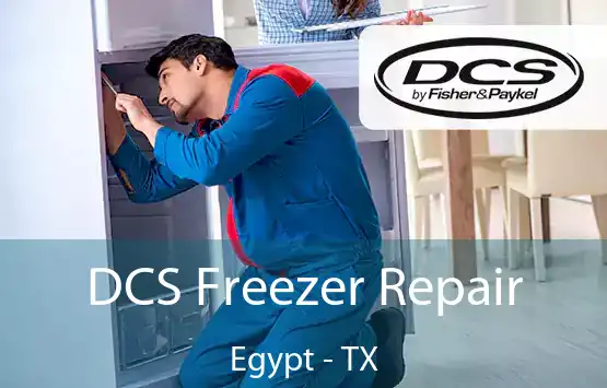  DCS Freezer Repair Egypt - TX