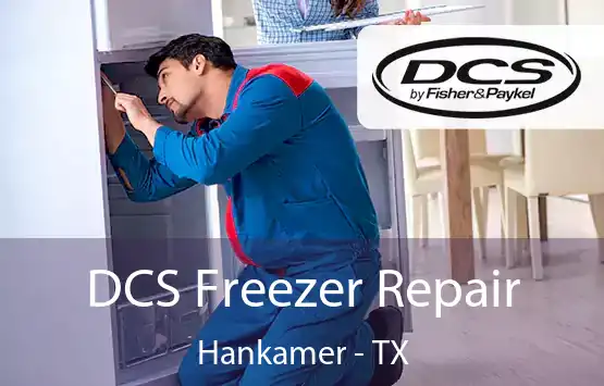  DCS Freezer Repair Hankamer - TX