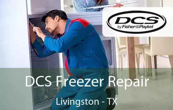 DCS Freezer Repair Livingston - TX