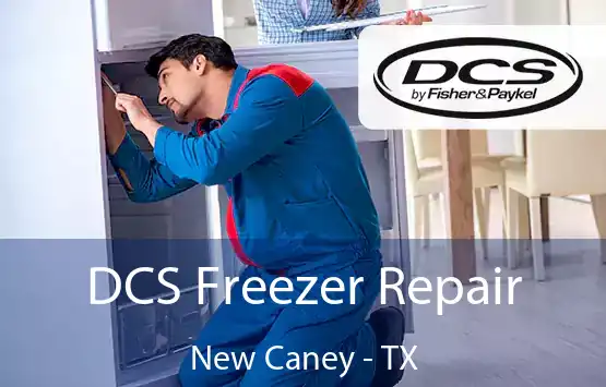 DCS Freezer Repair New Caney - TX
