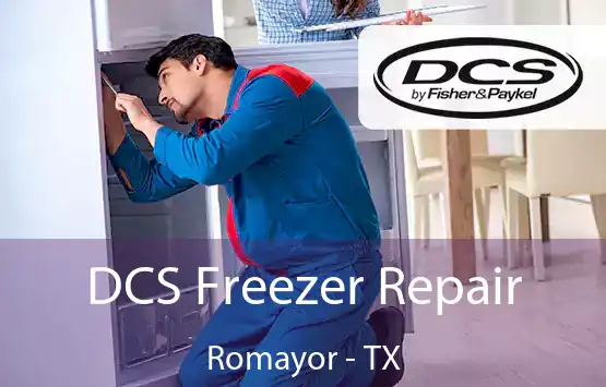  DCS Freezer Repair Romayor - TX
