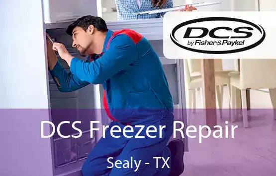 DCS Freezer Repair Sealy - TX