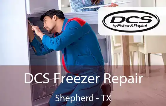  DCS Freezer Repair Shepherd - TX