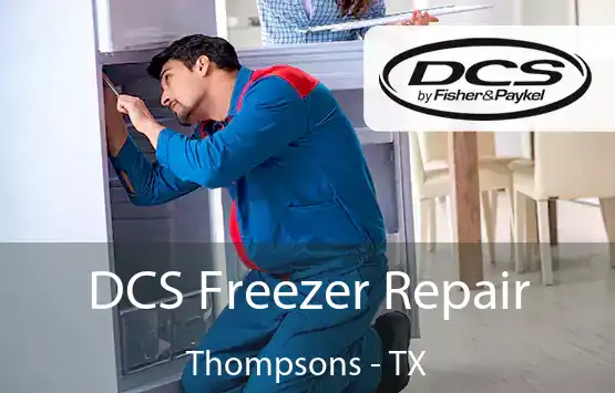  DCS Freezer Repair Thompsons - TX