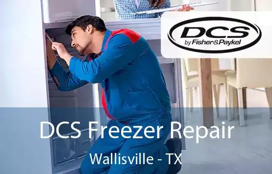  DCS Freezer Repair Wallisville - TX