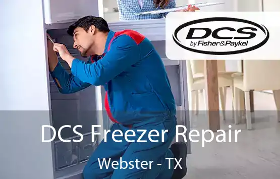  DCS Freezer Repair Webster - TX