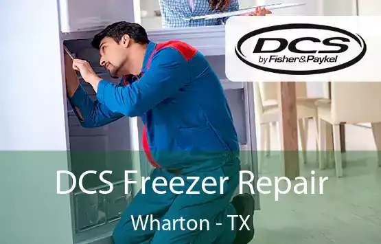  DCS Freezer Repair Wharton - TX
