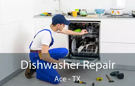  Dishwasher Repair Ace - TX