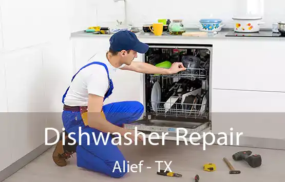  Dishwasher Repair Alief - TX