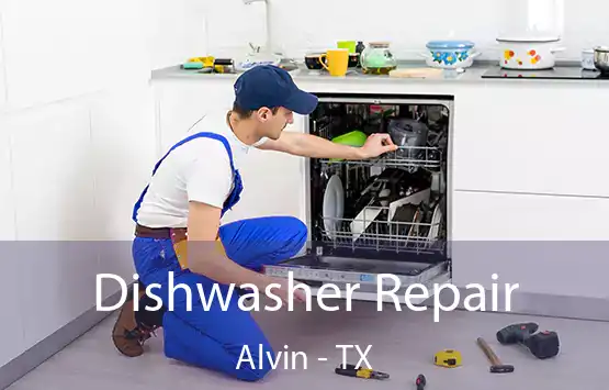  Dishwasher Repair Alvin - TX